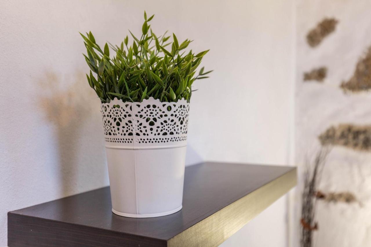 Eden Ecologico En Casa La Fuentita Apartment El Charco  Екстериор снимка